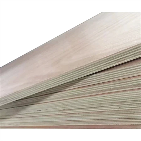 Eucalyptus Plywood